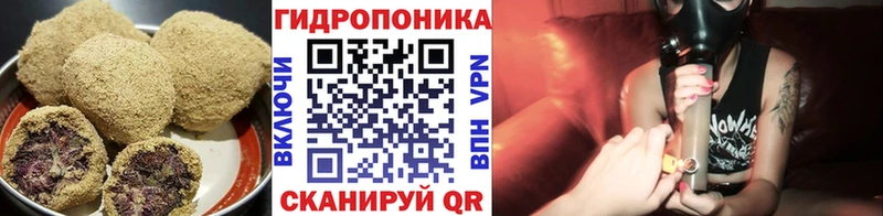 Cannafood конопля  блэк спрут ССЫЛКА  Дзержинский  цена  