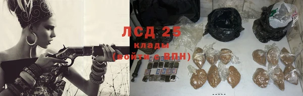 бошки Сатка